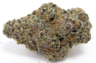 Glitter Glue Strawberry Fields 2.0