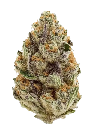 Cannabis Promo, Cannabis Sales, Cannabis Discounts, Cannabis on Sale, Max Out - 2.5oz 20% Off 2