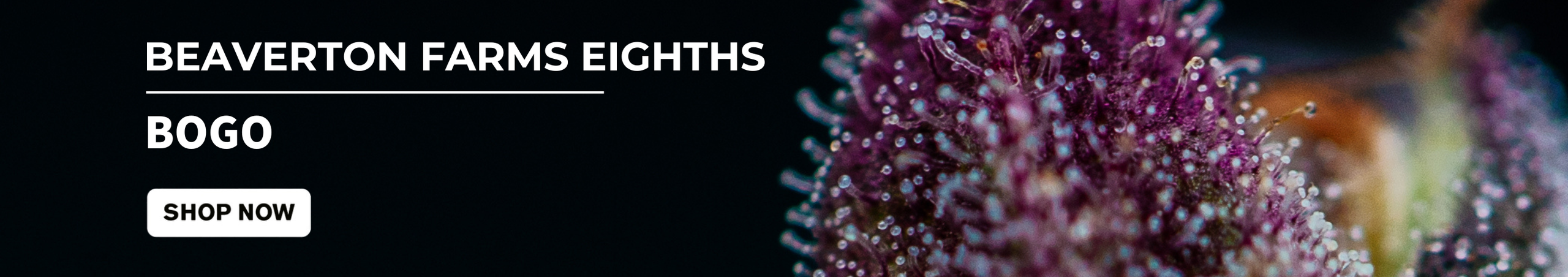 Cannabis Promo, Cannabis Sales, Cannabis Discounts, Cannabis on Sale, BOGO Beaverton Farms 8ths