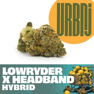 Lowryder x Headband Smalls Urbnj