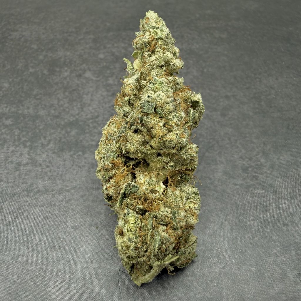 Glue