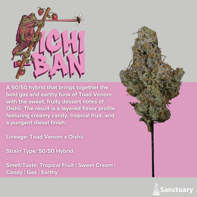 Ichiban Sanctuary