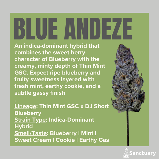 Blue Andeze Sanctuary