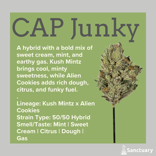 CAP Junky Sanctuary
