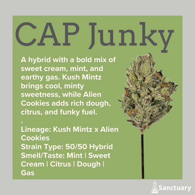 CAP Junky Sanctuary
