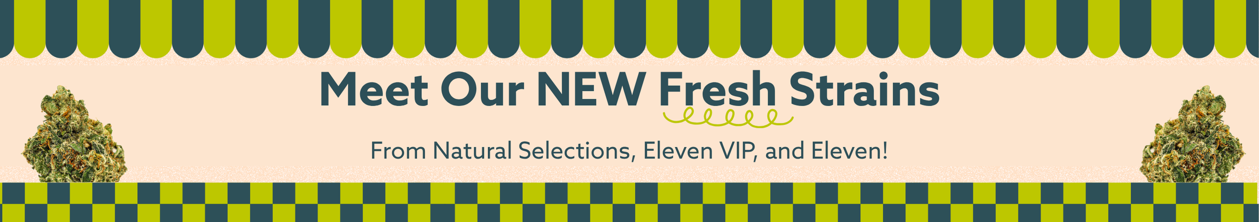 Cannabis Promo, Cannabis Sales, Cannabis Discounts, Cannabis on Sale, Fresh New Strains! (North Fayette)