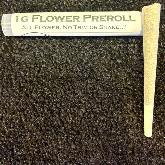 Sherb Breath King Cone Riverside Greenery Sherb Breath King Cone Riverside Greenery