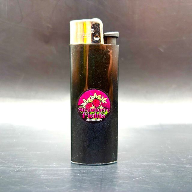 BIC SFA