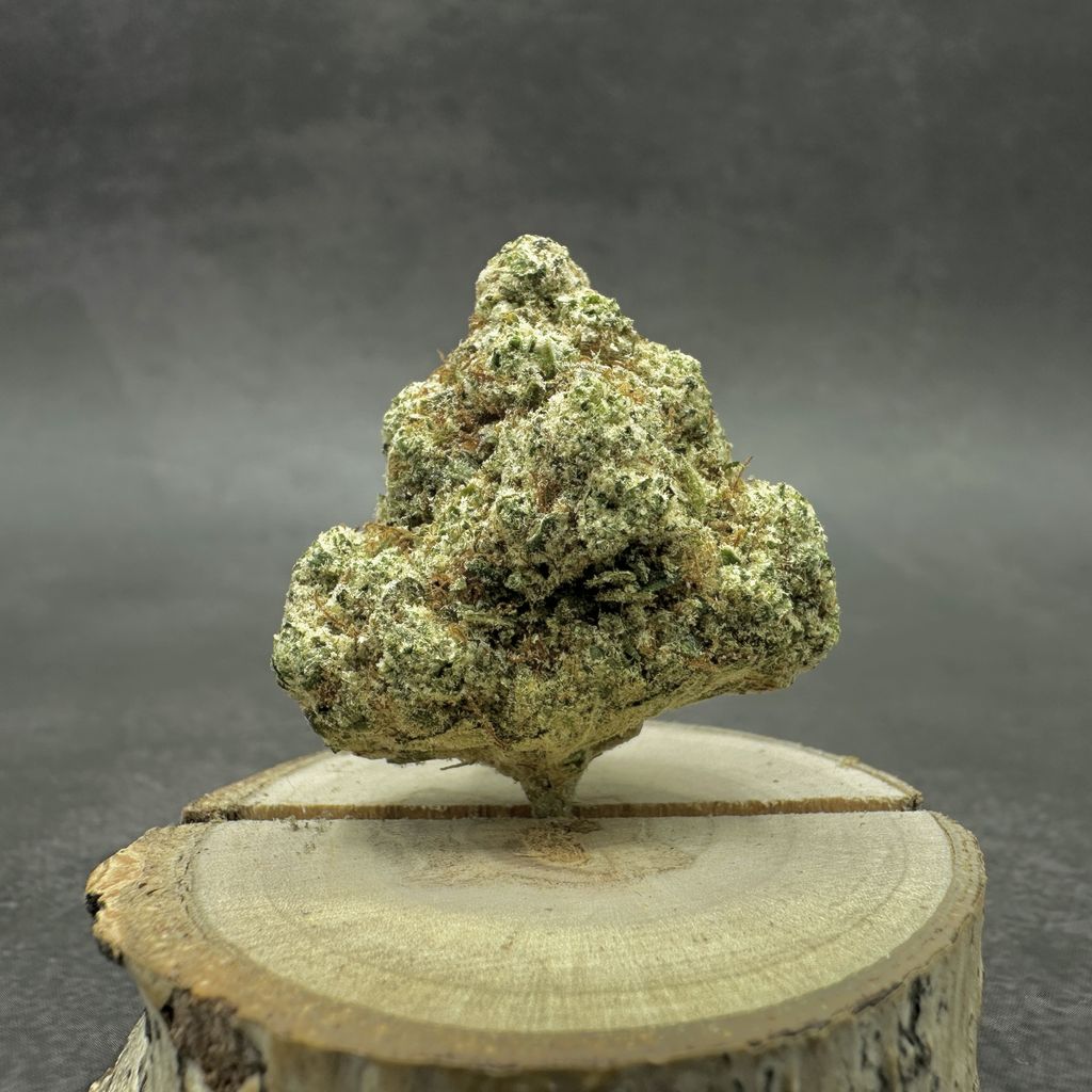 Snow Ball Indica Hybrid