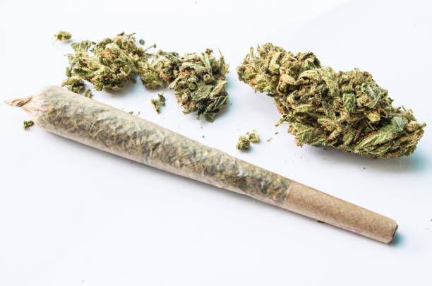 OG Kush King Cone Strawberry Fields Apothecary OG Kush King Cone Strawberry Fields Apothecary