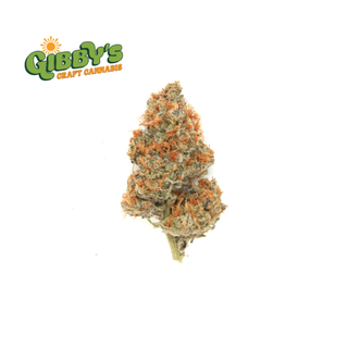 Lemon OG Haze Gibby's Garden