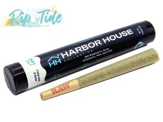 BigDankLato Harbor House Collective