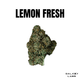 Lemon Fresh Galaxy Labs Lemon Fresh Galaxy Labs