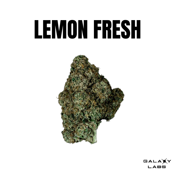 Lemon Fresh Galaxy Labs Lemon Fresh Galaxy Labs