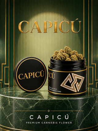 Cap Junky Capicu Cap Junky Capicu