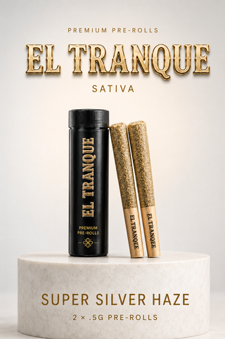 Super Silver Haze 2-Pk El Tranque Super Silver Haze 2-Pk El Tranque