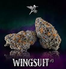 Wingsuit #3 Noble Valley Harvest Co.