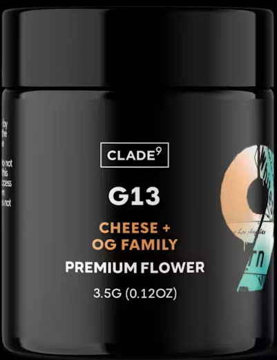 G13 Clade9