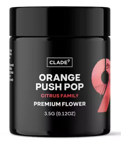 Orange Push Pop Clade9