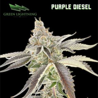 Purple Diesel | Green Lightning