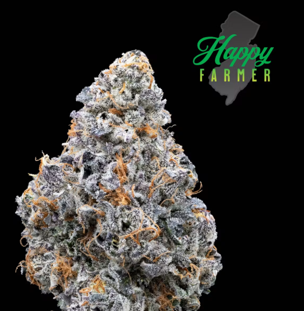 Lemon Cherry Fritter The Happy Farmer