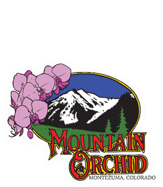 Orangina Mountain Orchid