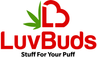 Zig Zag Cones Luvbuds