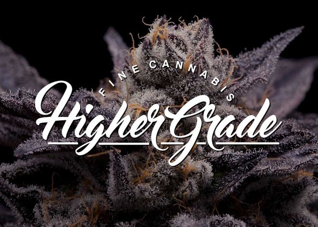 Lemon Blueberry Tart Higher Grade