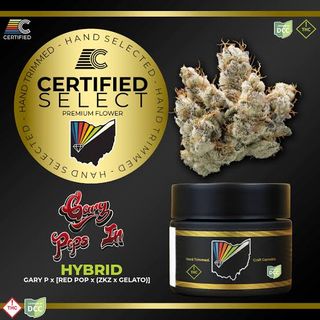 Gary Pops In Select Certified