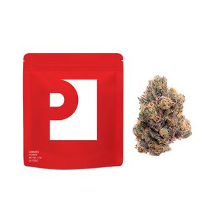 Gelato 41 Preferred