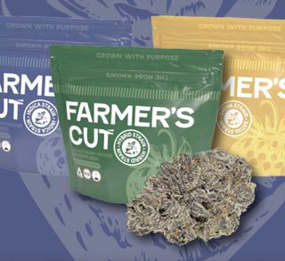 Rancid Rainbow Farmer's Cut