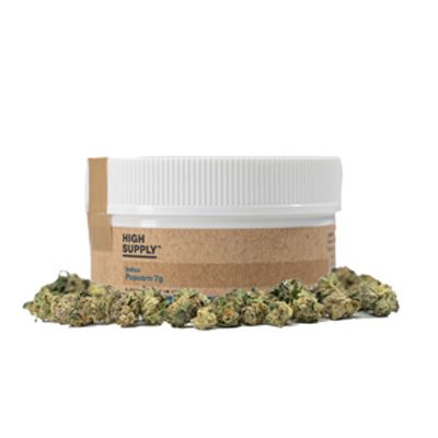 Canal Street Runtz High Supply