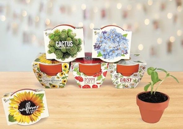 Flower Grow Kit Trends