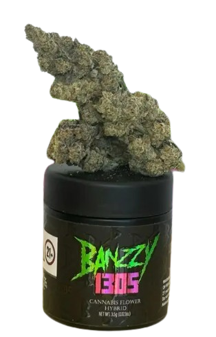 Ivory Banzzy 1305
