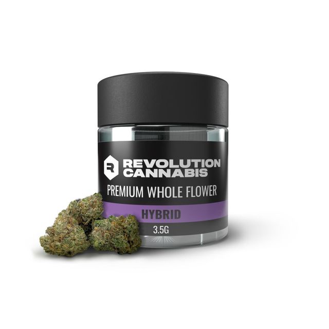 Everglazed Revolution Everglazed Revolution
