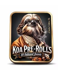 Northern Lights 10 Pack Koa