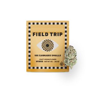 Blue Z Field Trip