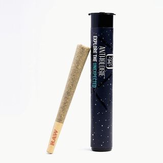 Glitter Bomb Anthologie