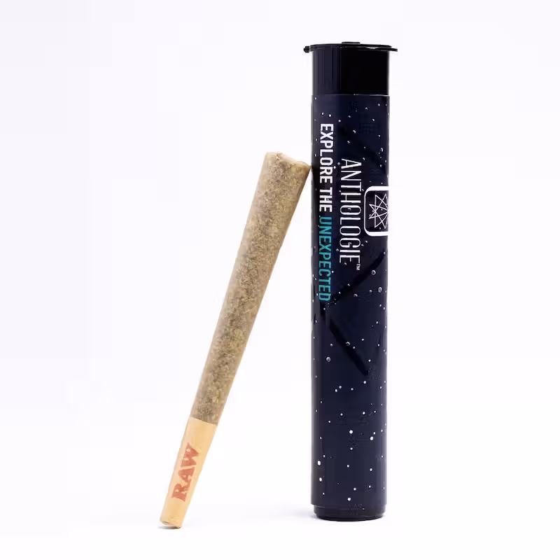 Local Skunk Preroll Anthologie
