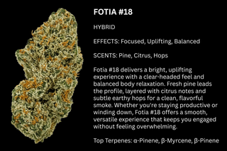 Cannabis Promo, Cannabis Sales, Cannabis Discounts, Cannabis on Sale, 25% off Khalifa Kush & Flora Brand 2