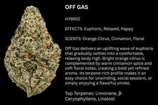 Cannabis Promo, Cannabis Sales, Cannabis Discounts, Cannabis on Sale, 25% off Khalifa Kush & Flora Brand 1