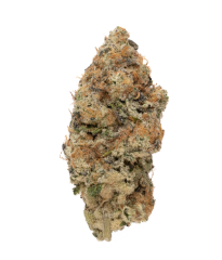 Pina Colada Rolling Green