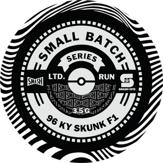96 KY Skunk F1 SMASH Hits