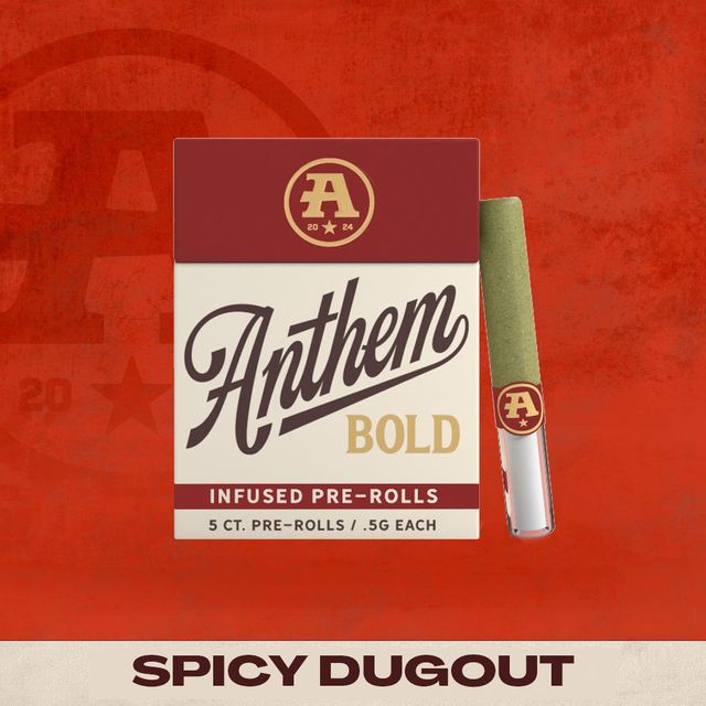Bold - Spicy Dugout Anthem