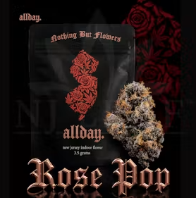 Rose Pop