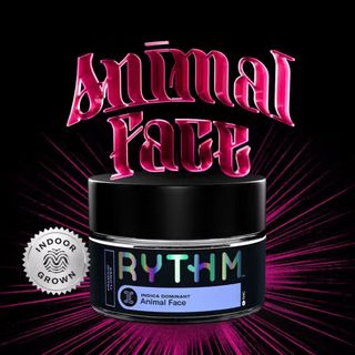 Animal Face Rythm