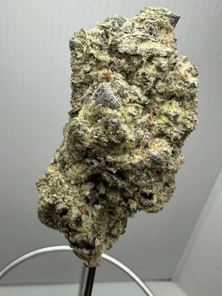 Cyber Flex  Stoneley