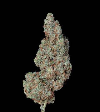 Las Vegas Lemon Skunk Midnight Fruit Company