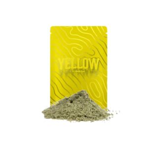 YELLOW - POINT BREEZE - (h) FLORA