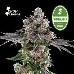 Sherbanger Garden Greens